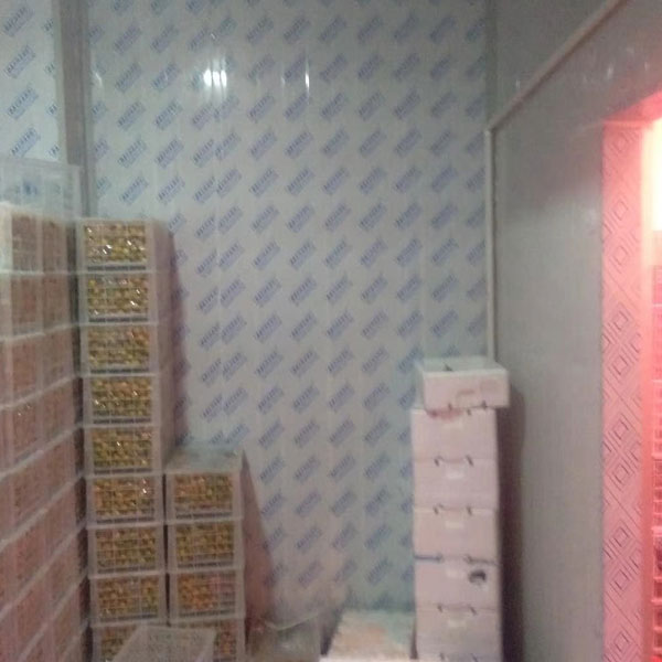 湛江冷库安装案例(图1)